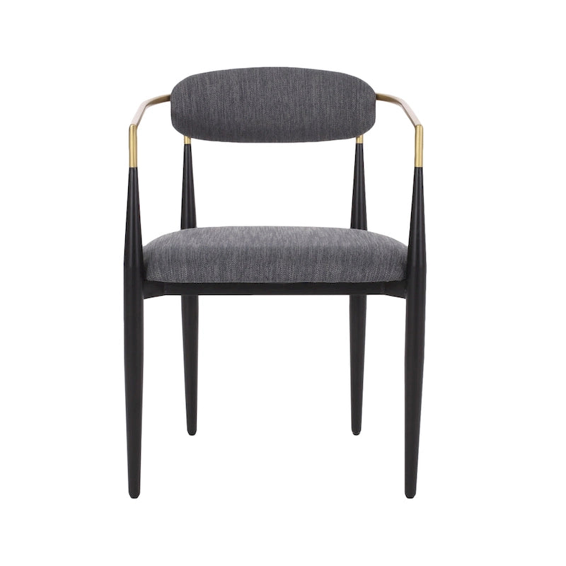 Biscay Fabric Upholstered Iron Dining Chairs (Set of 2) by GDFStudio