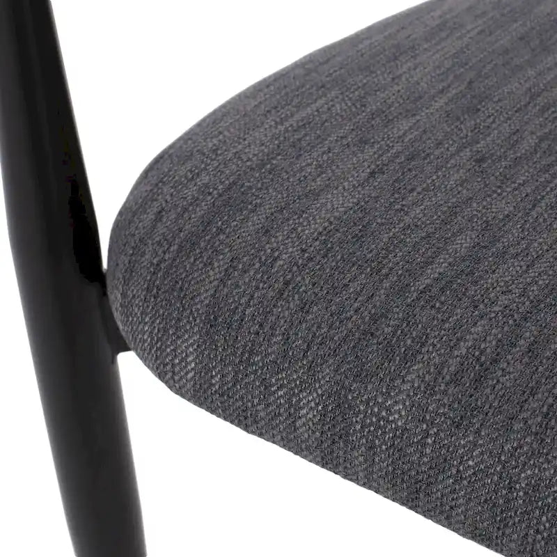 Biscay Fabric Upholstered Iron Dining Chairs (Set of 2) by GDFStudio
